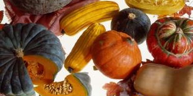 Jupiterimages/Comstock/Getty Images Hubbard squash is a winter squash.