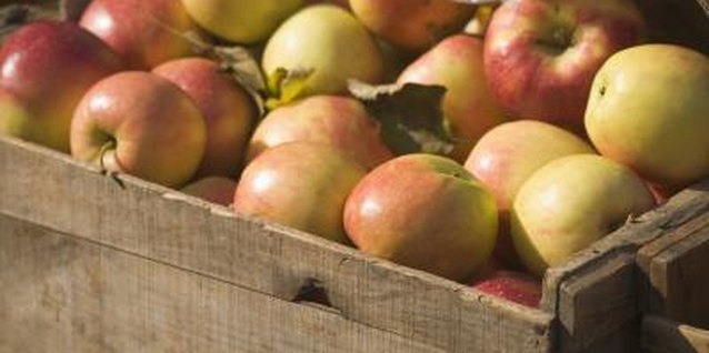 Jupiterimages/Creatas/Getty Images A home harvest of apples brings good eating and cooking.