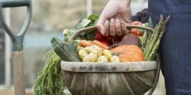 Martin Poole/Digital Vision/Getty Images The loose soil in raised beds produces higher yields.