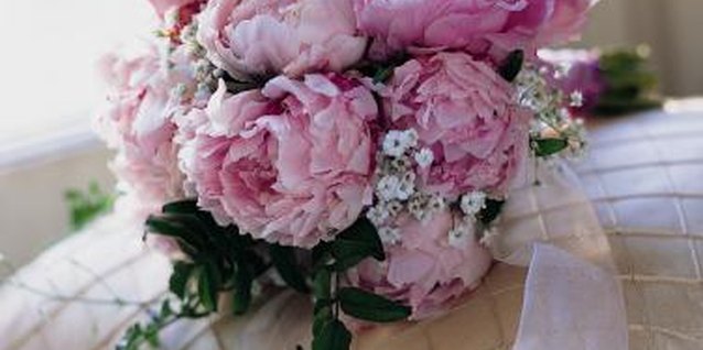 Digital Vision./Photodisc/Getty Images Peony has been grown in English gardens for centuries.
