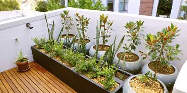 weareadventurers/iStock/Getty Images Roof gardens receive high levels of solar radiation.