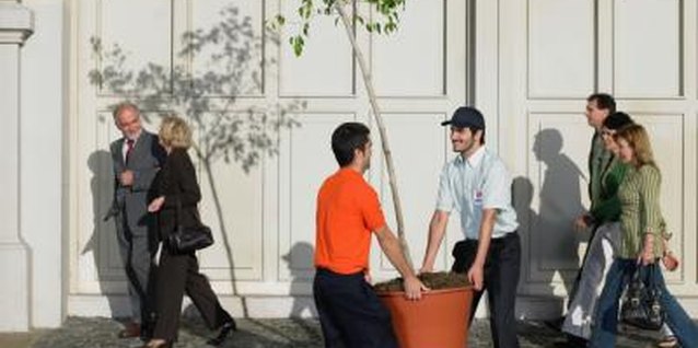Michael Blann/Digital Vision/Getty Images Adding wheels means you won't have to lift heavy pots.