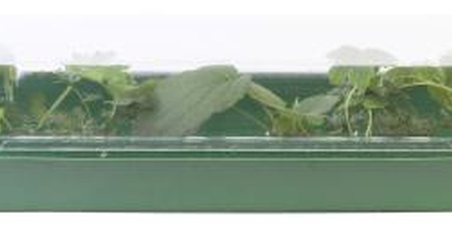 Hemera Technologies/PhotoObjects.net/Getty Images Store-bought plastic barriers will work for potted plants or small gardens.