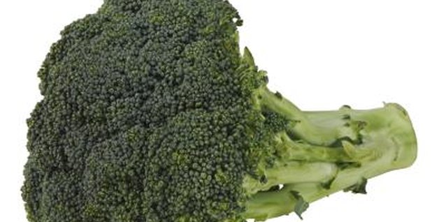 PhotoObjects.net/PhotoObjects.net/Getty Images Some broccoli can be grown to form perfectly tight heads.