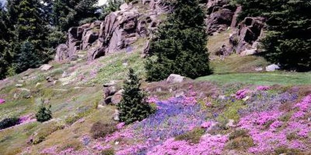 Jupiterimages/Photos.com/Getty Images A landscaped decline adds visual interest to a yard.