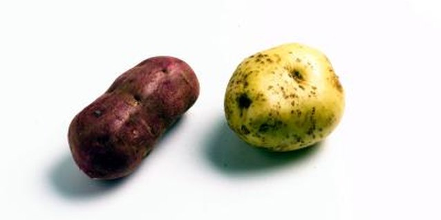 Jupiterimages/Photos.com/Getty Images Make a label for each cage to identify the different potato varieties.