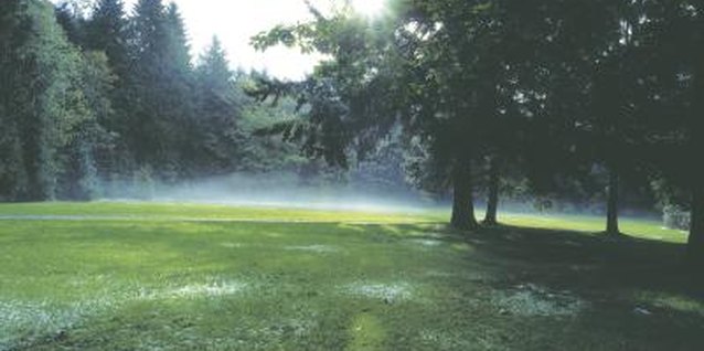 Hemera Technologies/Photos.com/Getty Images Sprinkler timers ensure your yard is watered regularly.