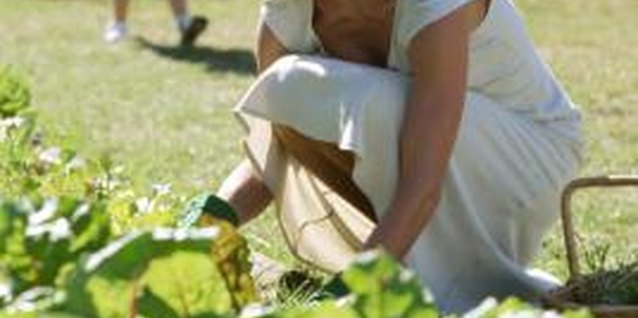 Polka Dot Images/Polka Dot/Getty Images The first step to a great garden is planning.