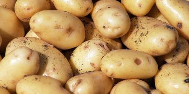 Photos.com/Photos.com/Getty Images Potatoes grown in straw are resistant to pests and diseases that reside in soil.