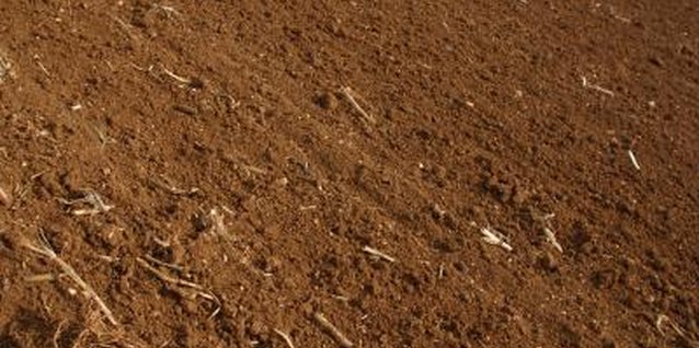 Jupiterimages/Photos.com/Getty Images You could be getting more than you bargained for with some topsoils.