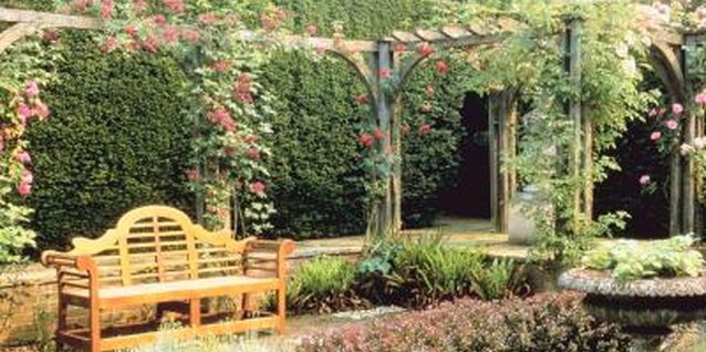 Jupiterimages/Photos.com/Getty Images Tall shrubs can create privacy in your courtyard.
