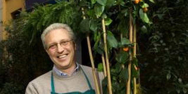 Thinkstock Images/Comstock/Getty Images Potted trees require extra protection during cold winter months.