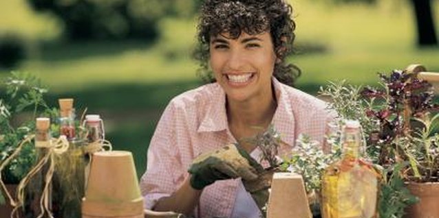 Comstock/Comstock/Getty Images Time grafting for before the spring growth flush, if possible.
