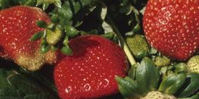 Hemera Technologies/Photos.com/Getty Images You can grow numerous strawberries and other small plants in a vertical grow bag.