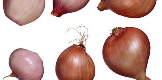 Brand X Pictures/Brand X Pictures/Getty Images Save some bulbs every year to plant the next season.