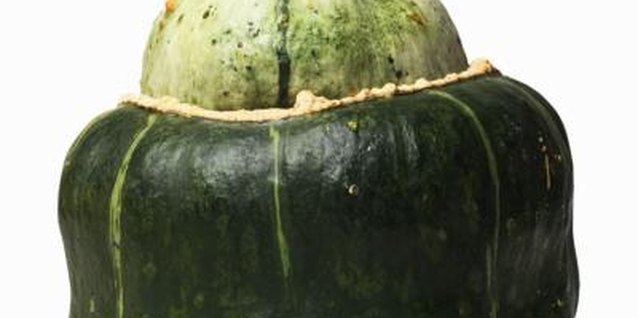 Stockbyte/Stockbyte/Getty Images Bush buttercup squash are easy to grow.