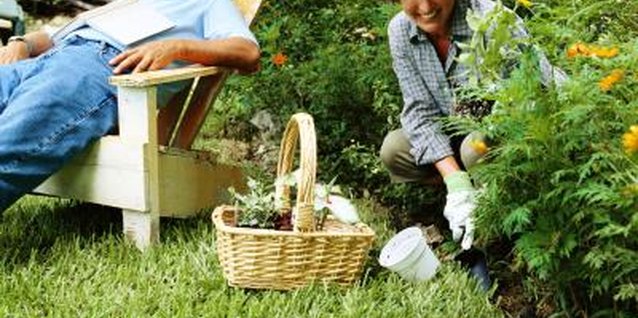 Stockbyte/Stockbyte/Getty Images Hand pulling and hoeing are the first line of defense against ragweed.