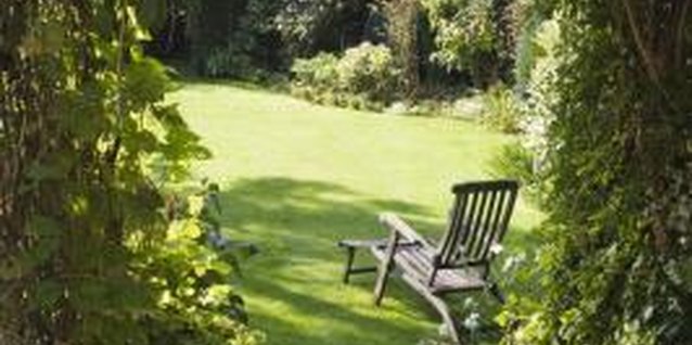 Jupiterimages/Polka Dot/Getty Images Home gardens provide a rich source of food for hungry deer.