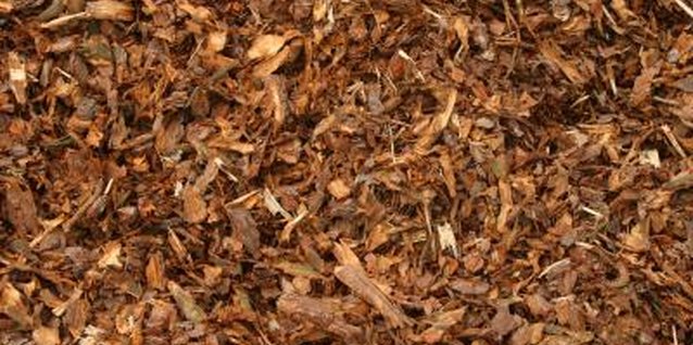 Jupiterimages/Photos.com/Getty Images Add a cosmetic upgrade to your landscape with hardwood mulch.