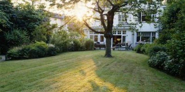 David De Lossy/Photodisc/Getty Images Touches of greenery in the right places, provides privacy in the backyard.