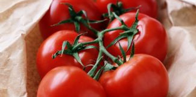 Digital Vision/Digital Vision/Getty Images Your tomato harvest can quickly be decimated by tomato hornworms.
