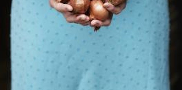 Tay Jnr/Digital Vision/Getty Images Shallots are a great way to spruce up your garden and spice up your cooking.