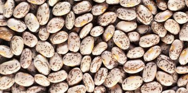 Ryan McVay/Photodisc/Getty Images Pintos are commonly used to make refried beans.