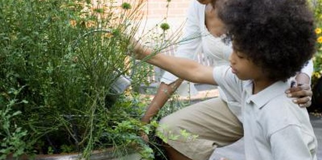 Jupiterimages/Creatas/Getty Images Let him help with gardening all year to learn about seasons of growing.