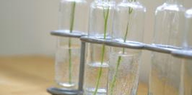 ULTRA F/Photodisc/Getty Images Small vases and a vintage holder mingle in a shabby chic centerpiece.