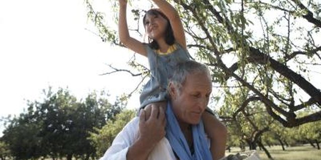 Maria Teijeiro/Lifesize/Getty Images Almond trees have edible nuts.