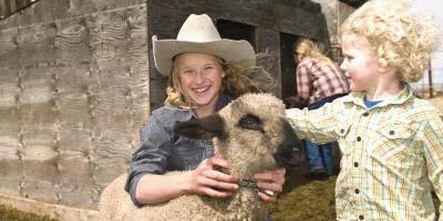 Ralf Nau/Lifesize/Getty Images Teach your preschooler about animals on a petting farm adventure.