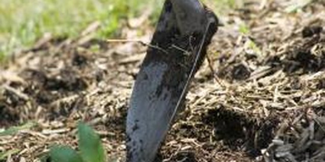 Jupiterimages/liquidlibrary/Getty Images You can loosen wet mulch with a shovel to break up slime molds.