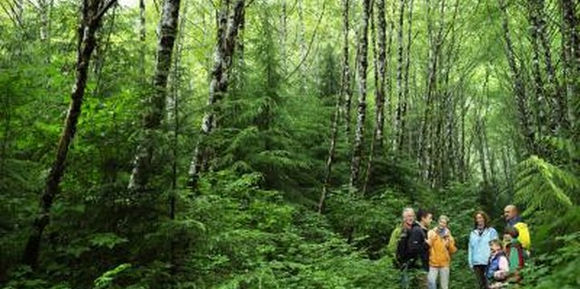 Ryan McVay/Lifesize/Getty Images Enjoy a family hike to learn about nature.