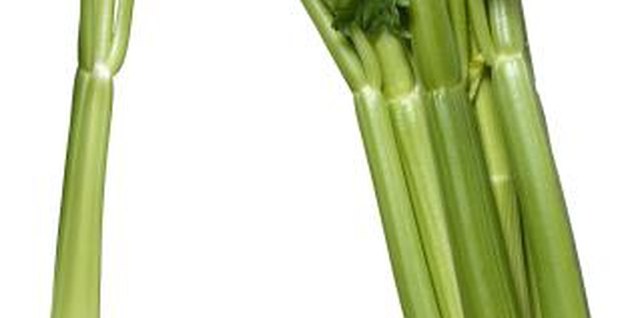 Brand X Pictures/Brand X Pictures/Getty Images Celery grows in cool but not cold weather.
