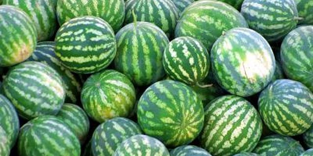 Photos.com/Photos.com/Getty Images Watermelon is always a harbinger of summer fun.