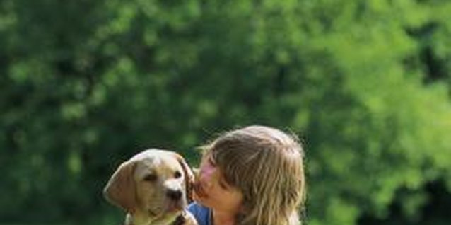 Comstock/Comstock/Getty Images Do your little ones love puppies?