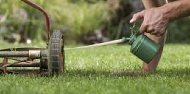 BananaStock/BananaStock/Getty Images Periodic maintenance will keep your reel mower working for years.