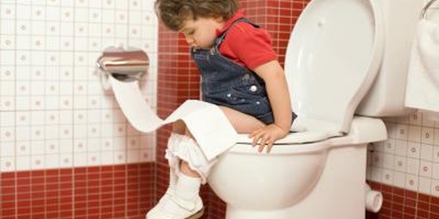 Thinkstock Images/Stockbyte/Getty Images Teach your toddler to use a standard-sized toilet.