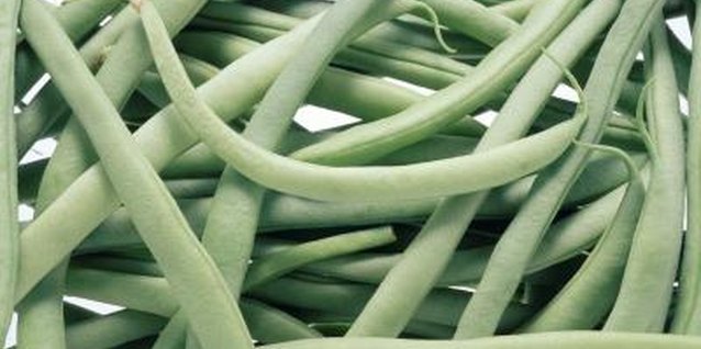 Goodshoot/Goodshoot/Getty Images A tender, warm-weather vegetable, green bean foliage is susceptible to fungal infection.