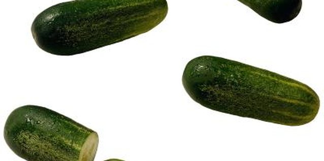 Brand X Pictures/Brand X Pictures/Getty Images Pickling cucumbers are smaller than slicers, making them ideal for upside down planters.