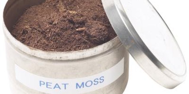 Hemera Technologies/PhotoObjects.net/Getty Images Packaged peat moss is dry and hard to re-wet.