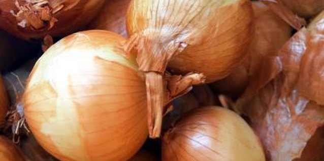 Photos.com/Photos.com/Getty Images Onions have been cultivated for 5,000 years.