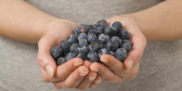 Jupiterimages/Pixland/Getty Images Increase the blueberry harvest with good soil nutrition.