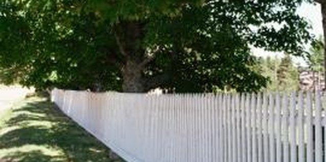 Jupiterimages/Photos.com/Getty Images In areas shaded by big trees, ground covers can rescue a landscape.