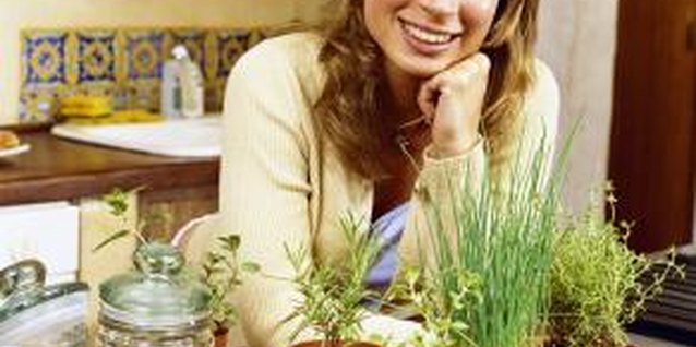 Creatas/Creatas/Getty Images Herbs are not particular when it comes to growing containers.