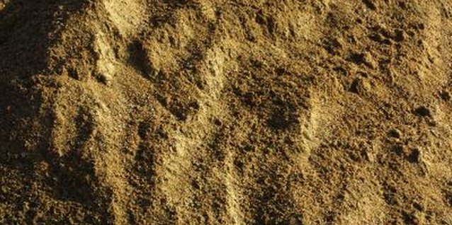 Hemera Technologies/AbleStock.com/Getty Images Moles are more active during the spring, summer and fall.