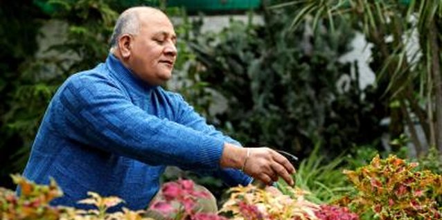 Visage/Stockbyte/Getty Images Garden hedges can be a mix of different shrubs for added color.