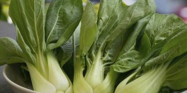 LRArmstrong/iStock/Getty Images Bok choy produces upright heads of leafy greens.