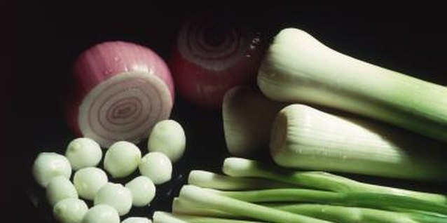 Jupiterimages/liquidlibrary/Getty Images Most types of onions are frost-resistant.