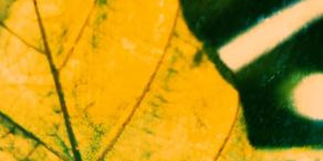 Ryan McVay/Photodisc/Getty Images Imbalanced soil pH is a complex matter to understand, but is not difficult to detect and resolve.